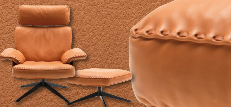 fauteuil De Sede ds 31