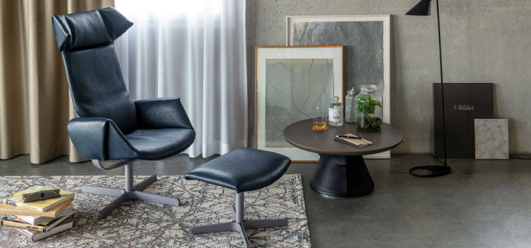 fauteuil De Sede ds 343